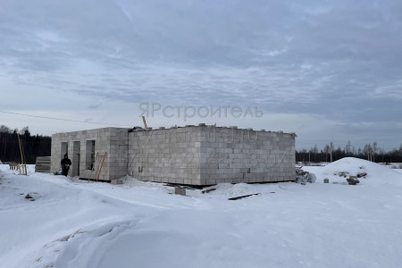 stroitelsvo-doma-mishkin-35